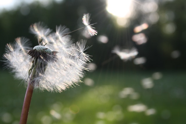 Spring is Finally on The Way – But Winter Hazards Haven’t Quite Disappeared Just Yet