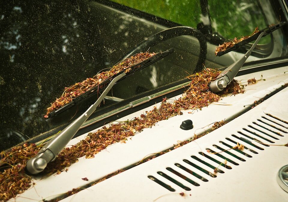 Effects of the Summer Heat on Your Windshield